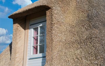 Mudford Sock thatch roof disadvantages